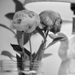 Meet your Posher, Denise